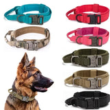 Advanced Dog Collar