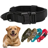 Advanced Dog Collar