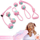 Pet Dog Chew Toy