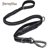 Reflective Dog Leash