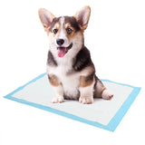 Super Absorbent Pet Training Pads