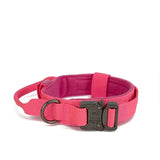 Advanced Dog Collar