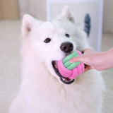 Pet Dog Chew Toy